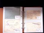 1914-18 1. Weltkrieg : INTERNLAGERPOST, Reichhaltige