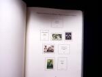 1939-45 Soldatenmarken Sammlung in zwei Müller Alben