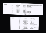El Ksar : 7 fragments + 9 fragments avec adresse partielle.
