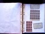1920 First issues, plates I and II, specialised collection