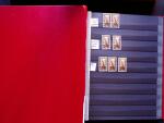 1922-29 OFFICIALS: Specialised collection in two stockbooks
