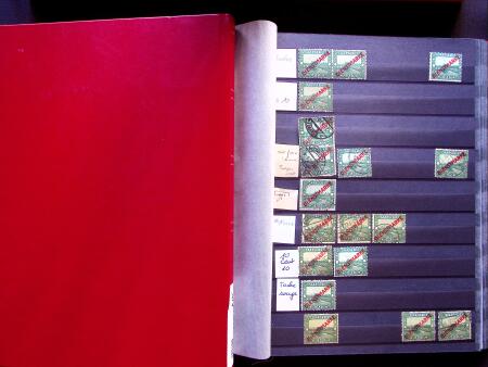 1922-29 OFFICIALS: Specialised collection in two stockbooks