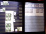 1920-55 Mint and used stock in seven stockbooks with