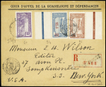 Guadeloupe n°60 + 94 + 96 OBL Saint-Claude (1935) sur lettre avec au verso vignette antituberculeuse Calmette avec mention "Guadeloupe". TB