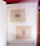 1906-1958, Belle collection des grandes séries coloniales