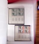 1906-1958, Belle collection des grandes séries coloniales