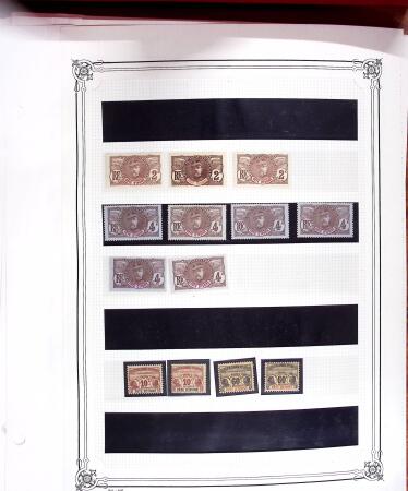 1906, Stock de la série Palmiers-Faidherbe-Ballay,