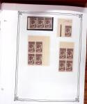 1906, Stock de la série Palmiers-Faidherbe-Ballay,