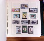 1950-1998, Collection en un album Leuchtturm, apparemment