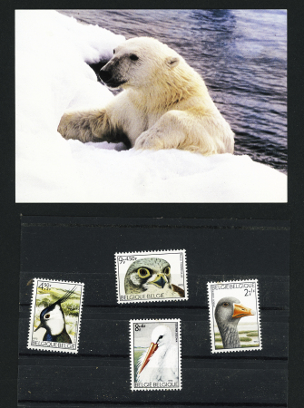 1948-2016, Collection en un album Leuchtturm, apparemment