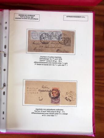 TYPE BLANC Superbe collection d'exposition de lettres