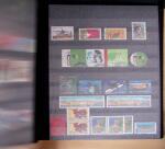 1849-2019, Collection du monde, dont France pour faciale,