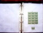1920, SAARGEBIET overprinted issues. Specialised collection