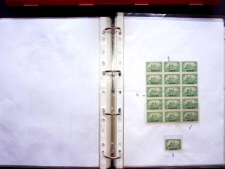 1920, SAARGEBIET overprinted issues. Specialised collection