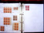 1920, SAARGEBIET overprinted issues. Specialised collection