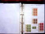 1920, SAARGEBIET overprinted issues. Specialised collection