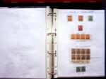 1920, SAARGEBIET overprinted issues. Specialised collection