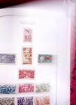 1859-1979, Superbe collection en 7 albums Y & T rouge