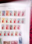 1859-1979, Superbe collection en 7 albums Y & T rouge