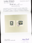 1918-1945, Fantastic POLAND collection of LOCAL issues
