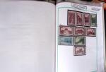 env. 1870-1914, L'Alsace-Lorraine : vignettes, cartes