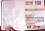 1850-1970, Mint & used selection in nine stockbooks