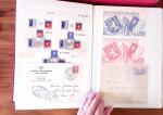 1880-1990, Amazing selection of VIGNETTES in five stockbooks,