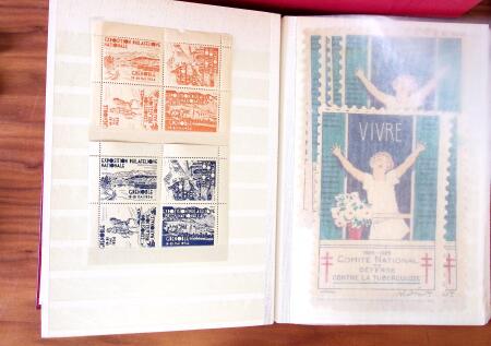 1880-1990, Amazing selection of VIGNETTES in five stockbooks,