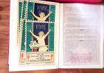 1880-1990, Amazing selection of VIGNETTES in five stockbooks,