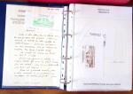 1880-1990, Amazing selection of VIGNETTES in five stockbooks,