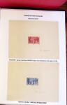 1880-1990, Amazing selection of VIGNETTES in five stockbooks,