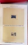 1880-1990, Amazing selection of VIGNETTES in five stockbooks,