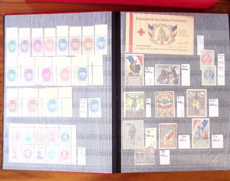 1880-1990, Amazing selection of VIGNETTES in five stockbooks,