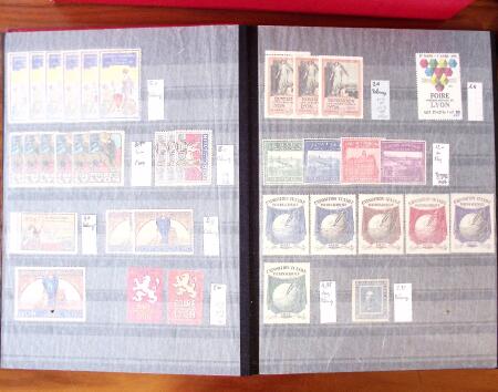 1880-1990, Amazing selection of VIGNETTES in five stockbooks,