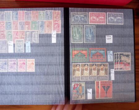 1880-1990, Amazing selection of VIGNETTES in five stockbooks,