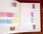 1880-1990, Amazing selection of VIGNETTES in five stockbooks,