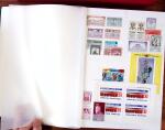 1880-1990, Amazing selection of VIGNETTES in five stockbooks,