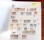 1852-1980, Mint and used selection of Italy in 8 stockbooks