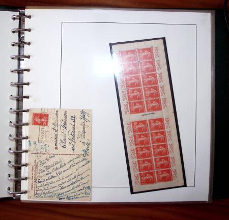 1903-1906, Collection spécialisée sur la Semeuse en