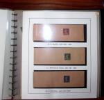 1903-1906, Collection spécialisée sur la Semeuse en