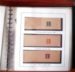 1903-1906, Collection spécialisée sur la Semeuse en