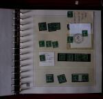 1903-1906, Collection spécialisée sur la Semeuse en