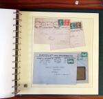 1903-1906, Collection spécialisée sur la Semeuse en