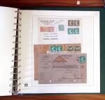 1903-1906, Collection spécialisée sur la Semeuse en