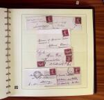 1903-1906, Collection spécialisée sur la Semeuse en