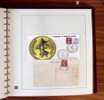 1903-1906, Collection spécialisée sur la Semeuse en