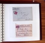 1903-1906, Collection spécialisée sur la Semeuse en