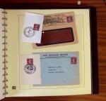 1903-1906, Collection spécialisée sur la Semeuse en