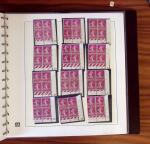 1903-1906, Collection spécialisée sur la Semeuse en
