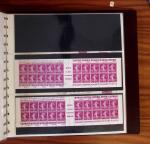 1903-1906, Collection spécialisée sur la Semeuse en